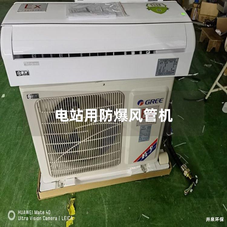 電站用防爆風(fēng)管機(jī)