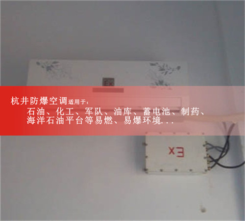 拋光車間防爆空調(diào)機(jī)案例圖