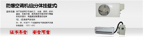10p船舶特種防爆空調(diào)圖片
